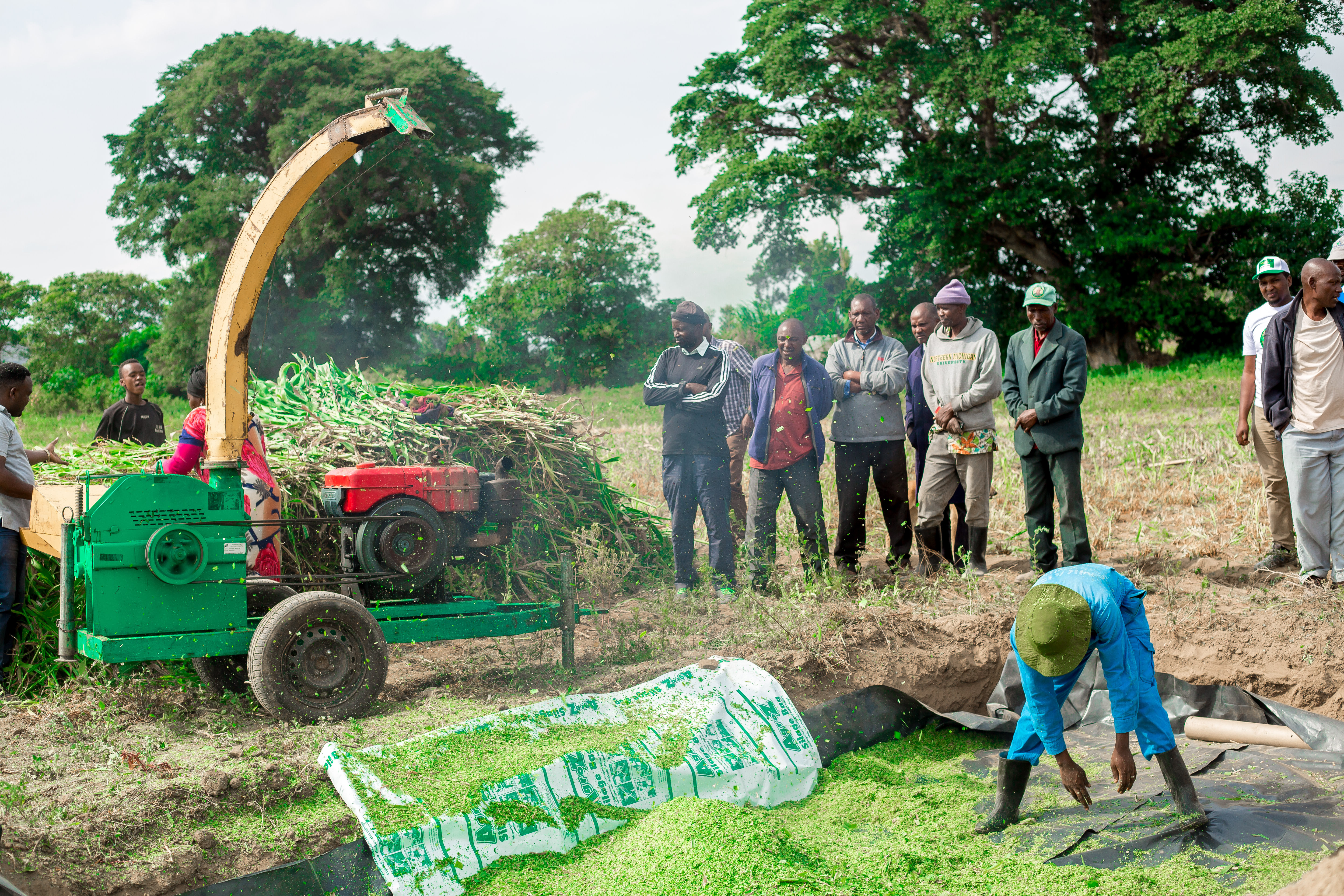Forage - Feed the Foundation