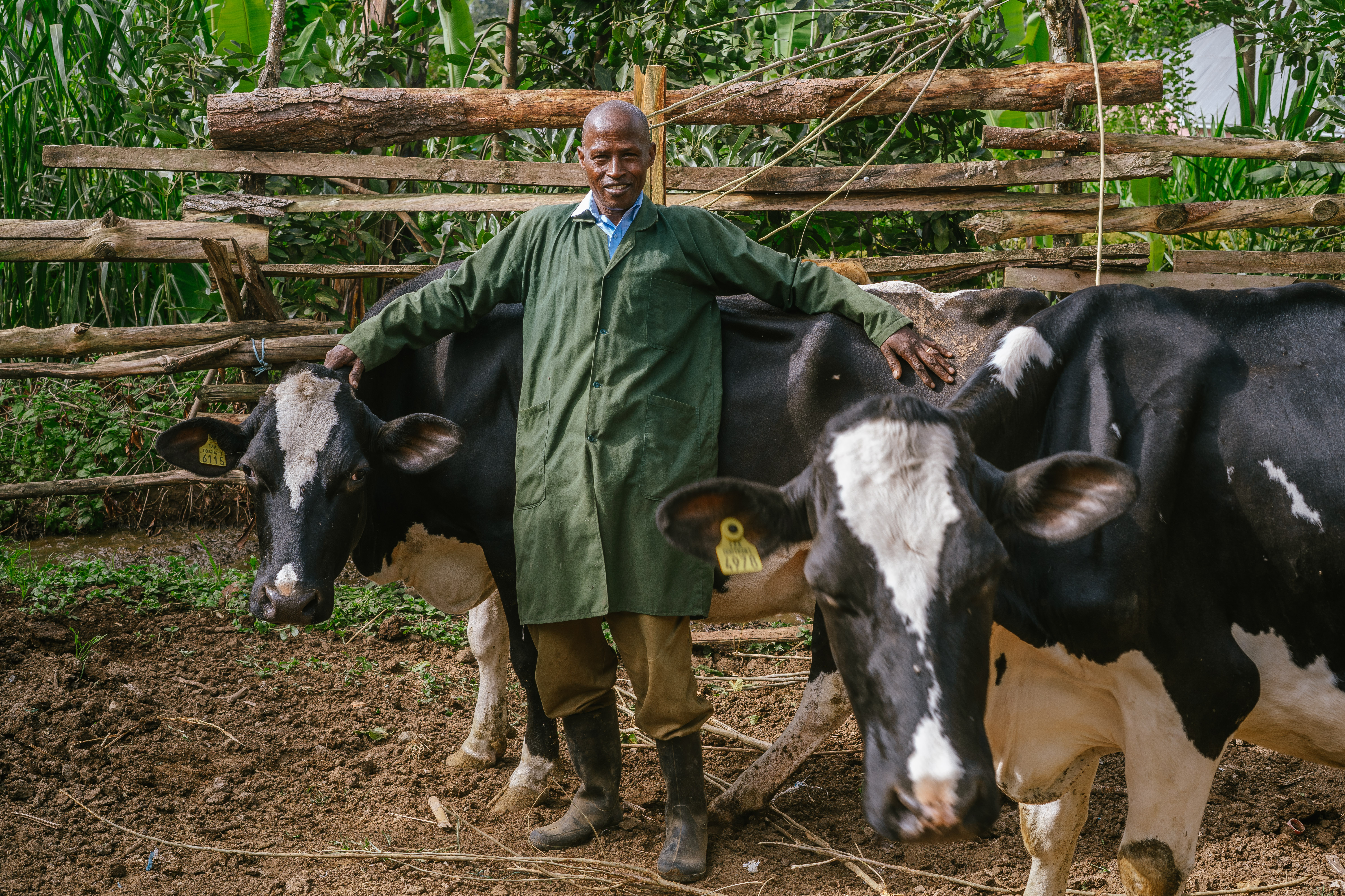 Dairy Productivity with Purpose