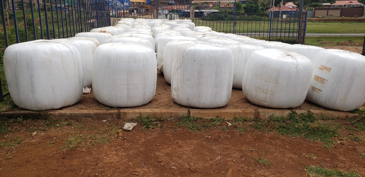 Baled Maize Silage